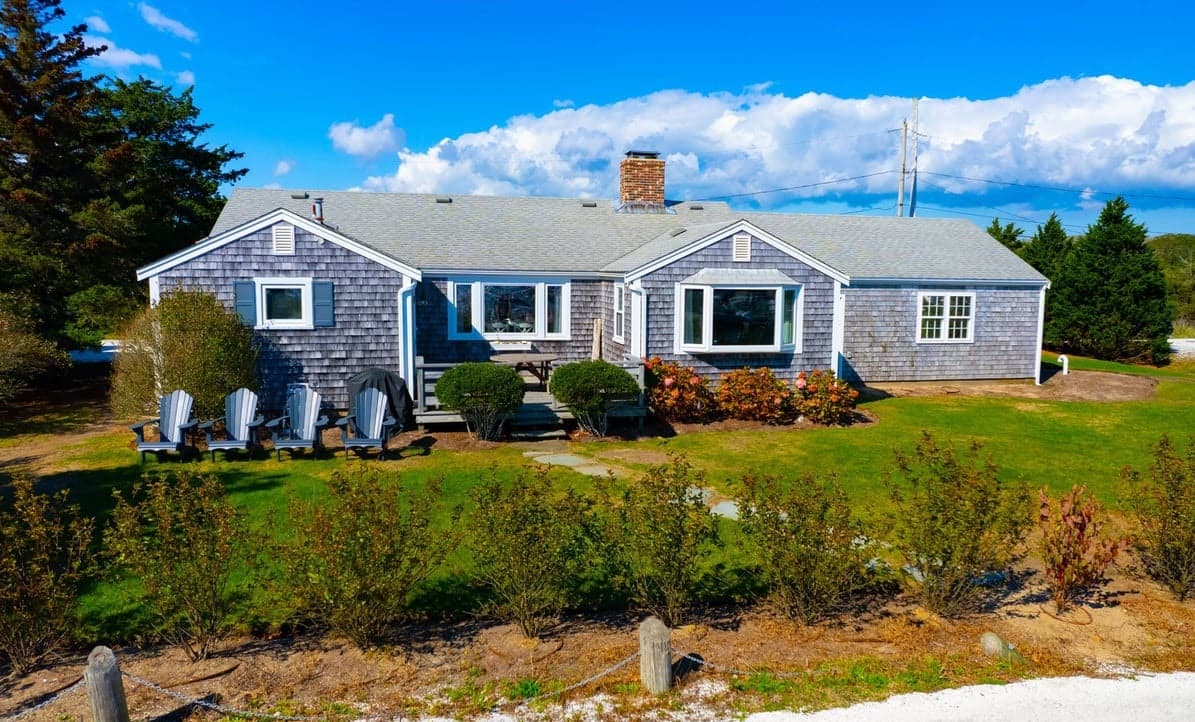 Whale Song - Image 3