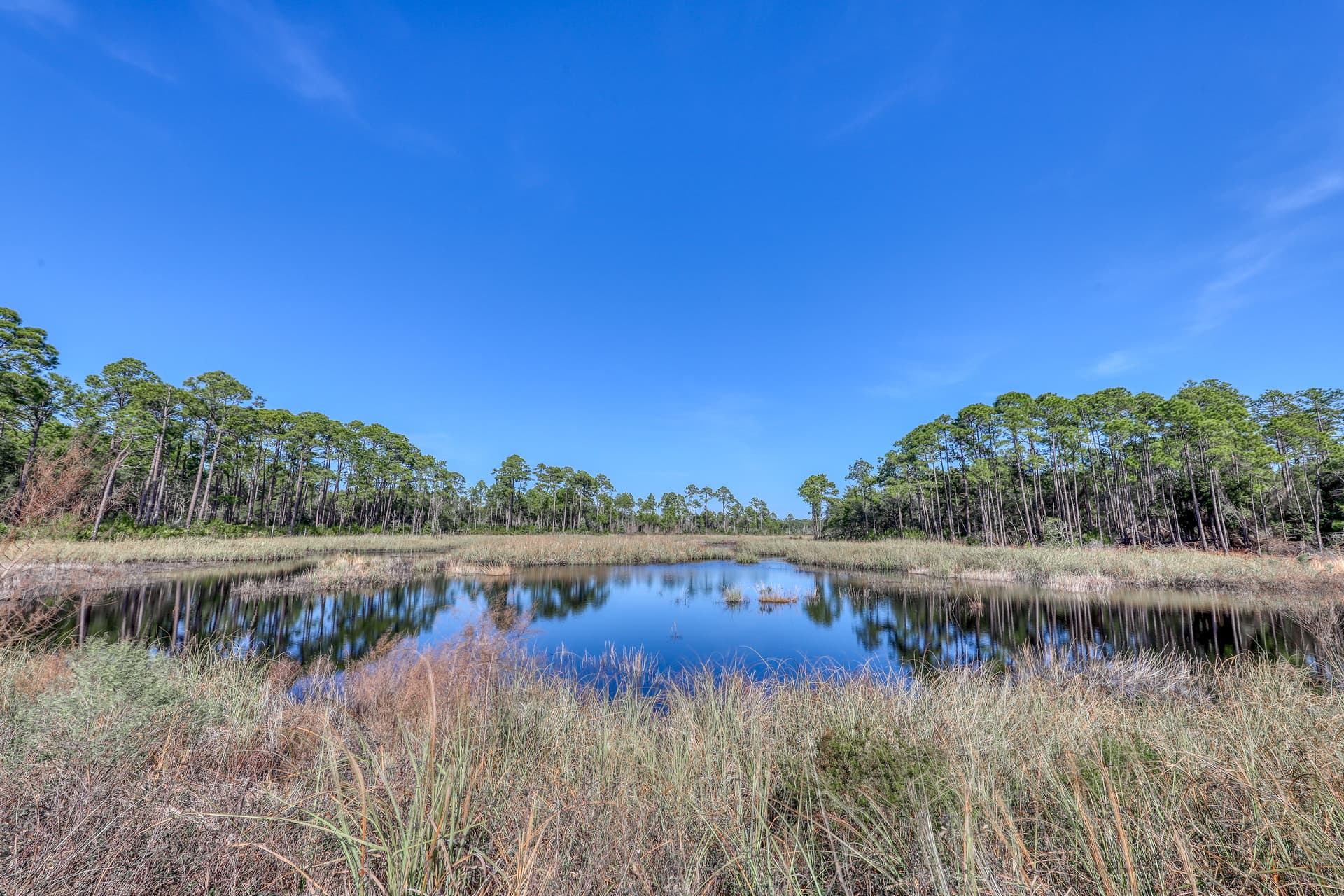 Sanctuary by the Sea 2122 Home - Image 30
