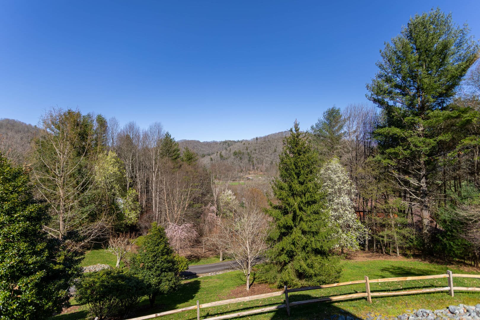 Whispering Willow - Image 41