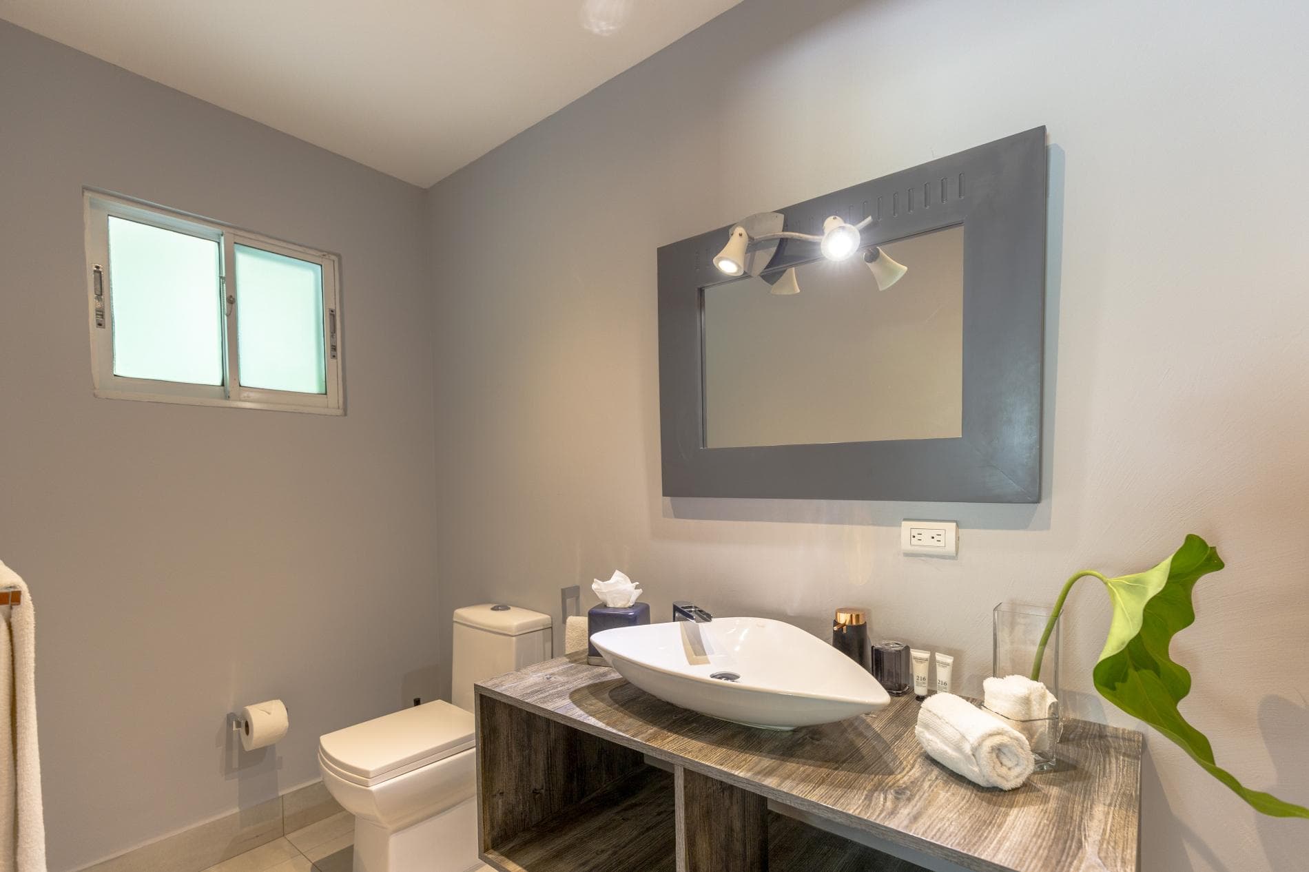 Tortuga Breeze - Image 14