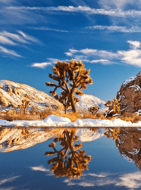 Flat on Alexander - Image 42