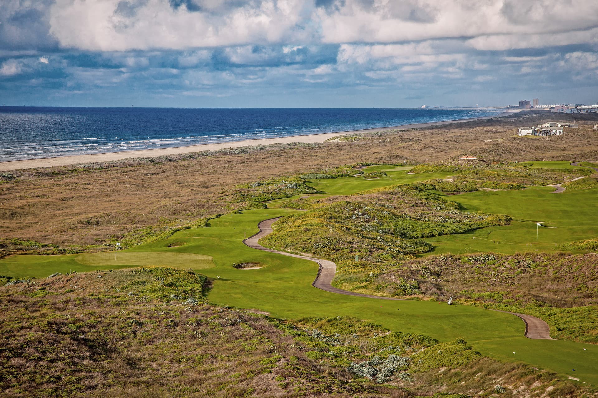 Deep Sea Parrot - Image 29