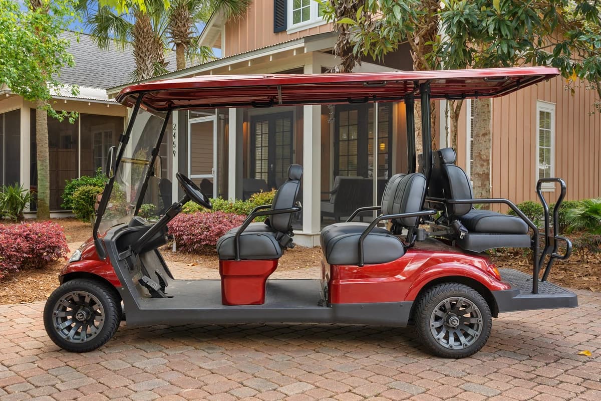 Coral Starfish - Image 29