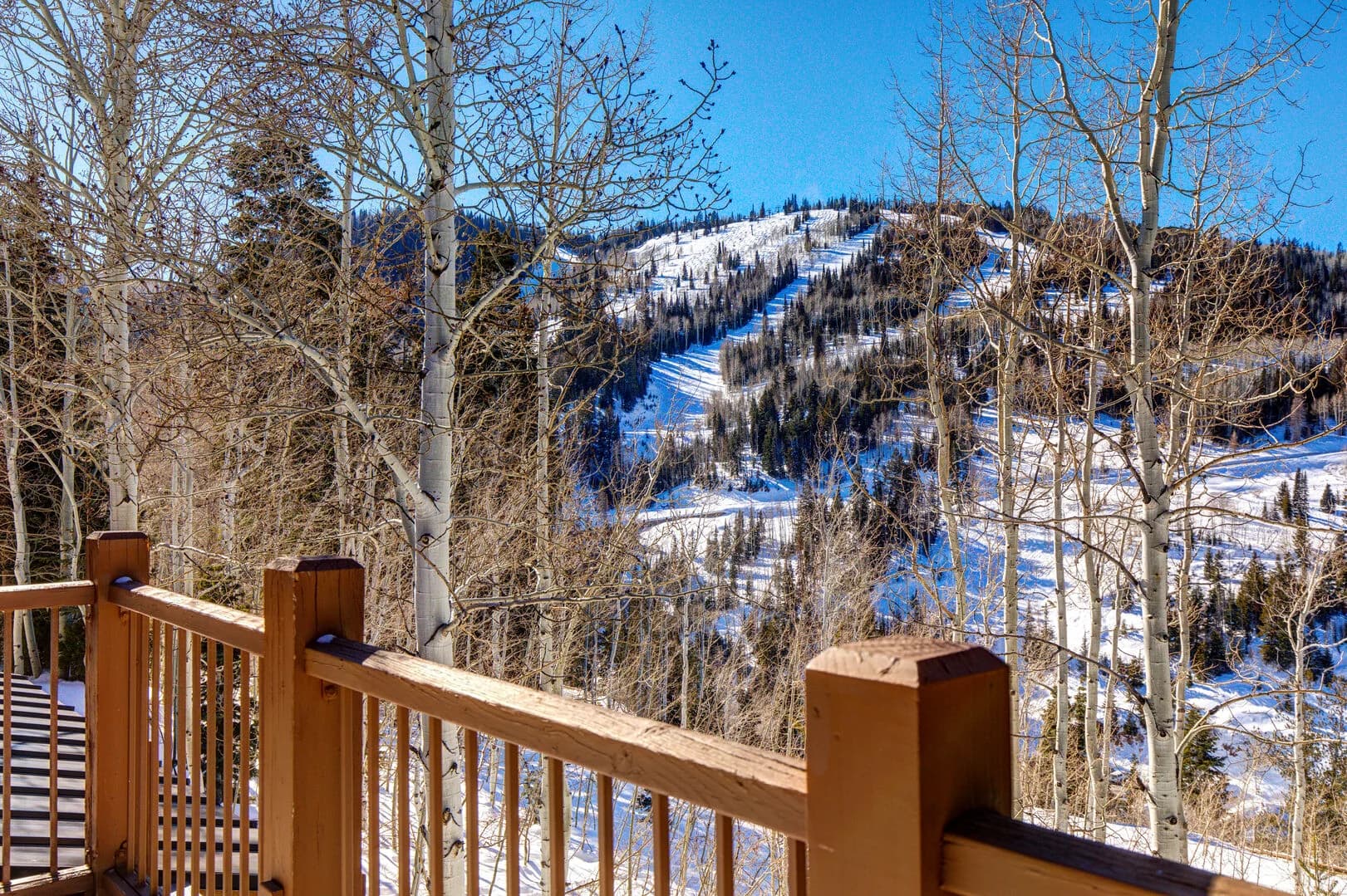 Belle Home - Image 49