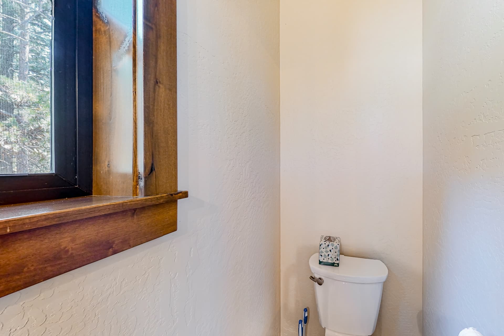 Leaning Pine Point at Half Round Bay - Image 18