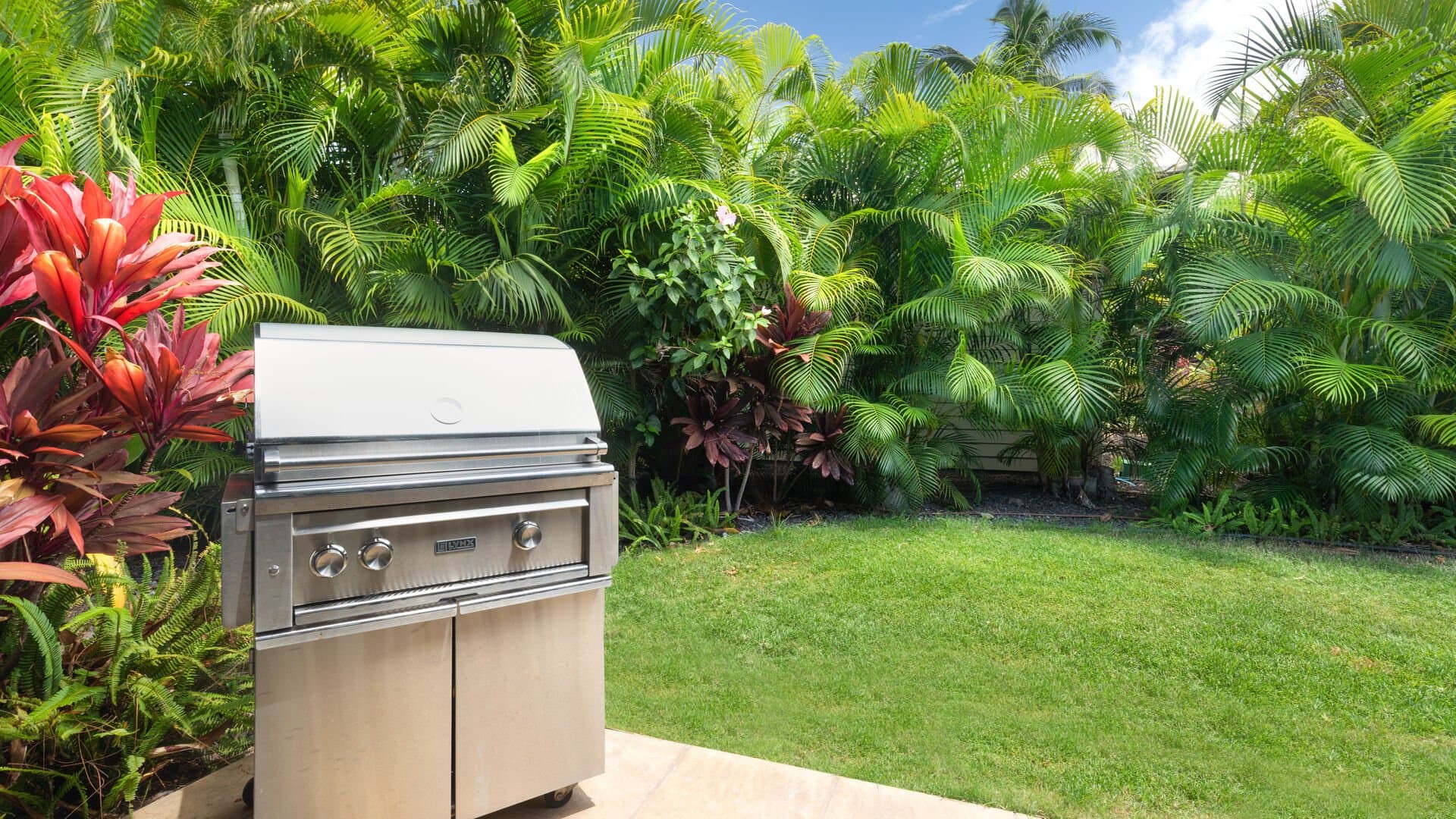 House of Light - Image 23