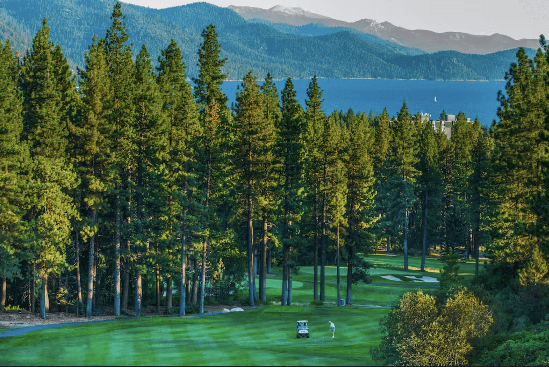 Among the Trees Home - Image 24