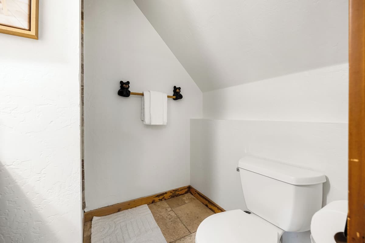 Bear Loop - Image 29