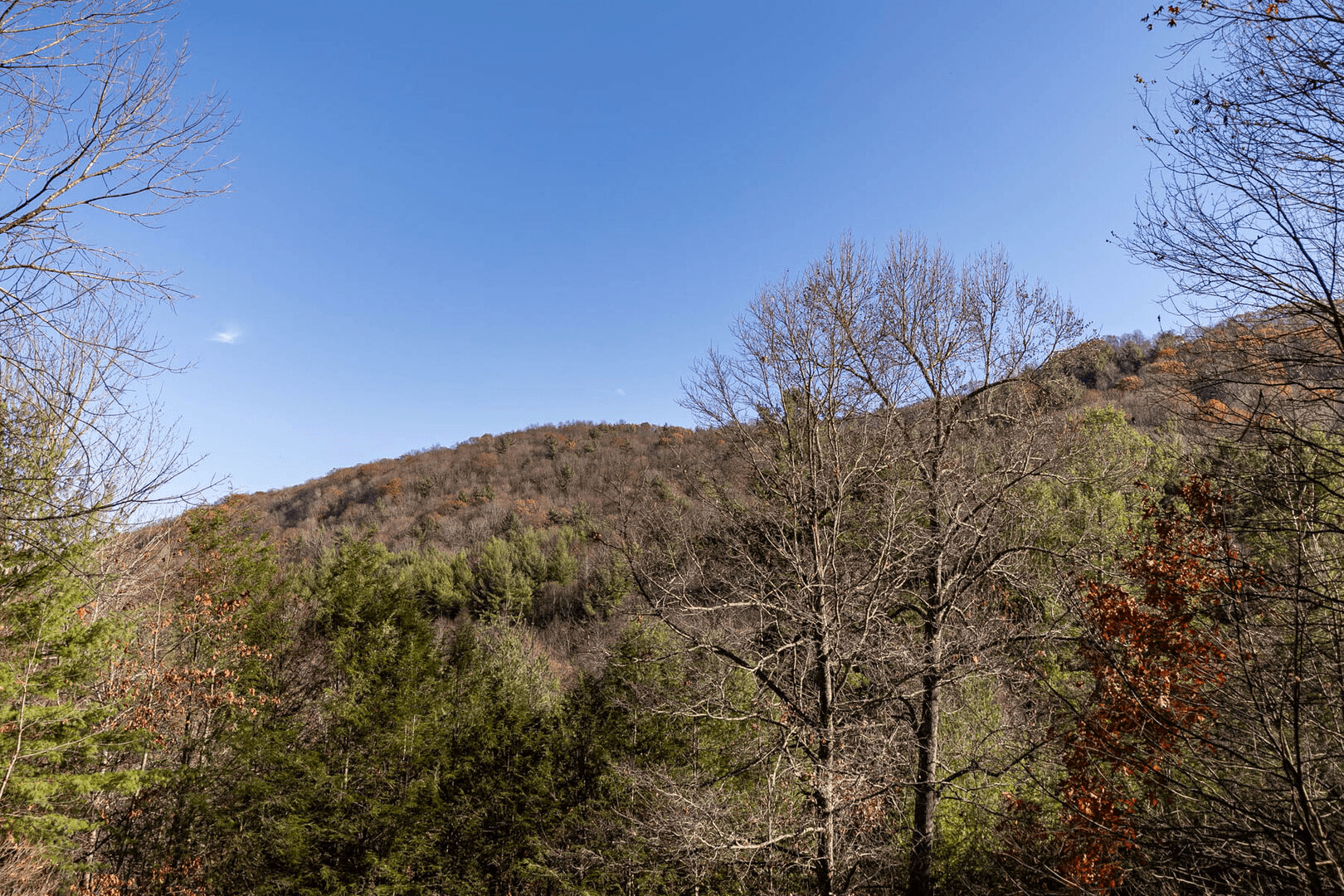 Moonlight Lodge - Image 28