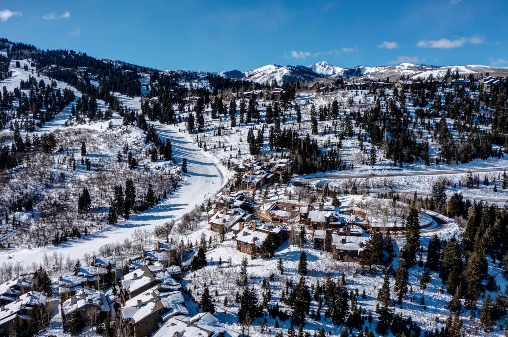 Success View - Image 45