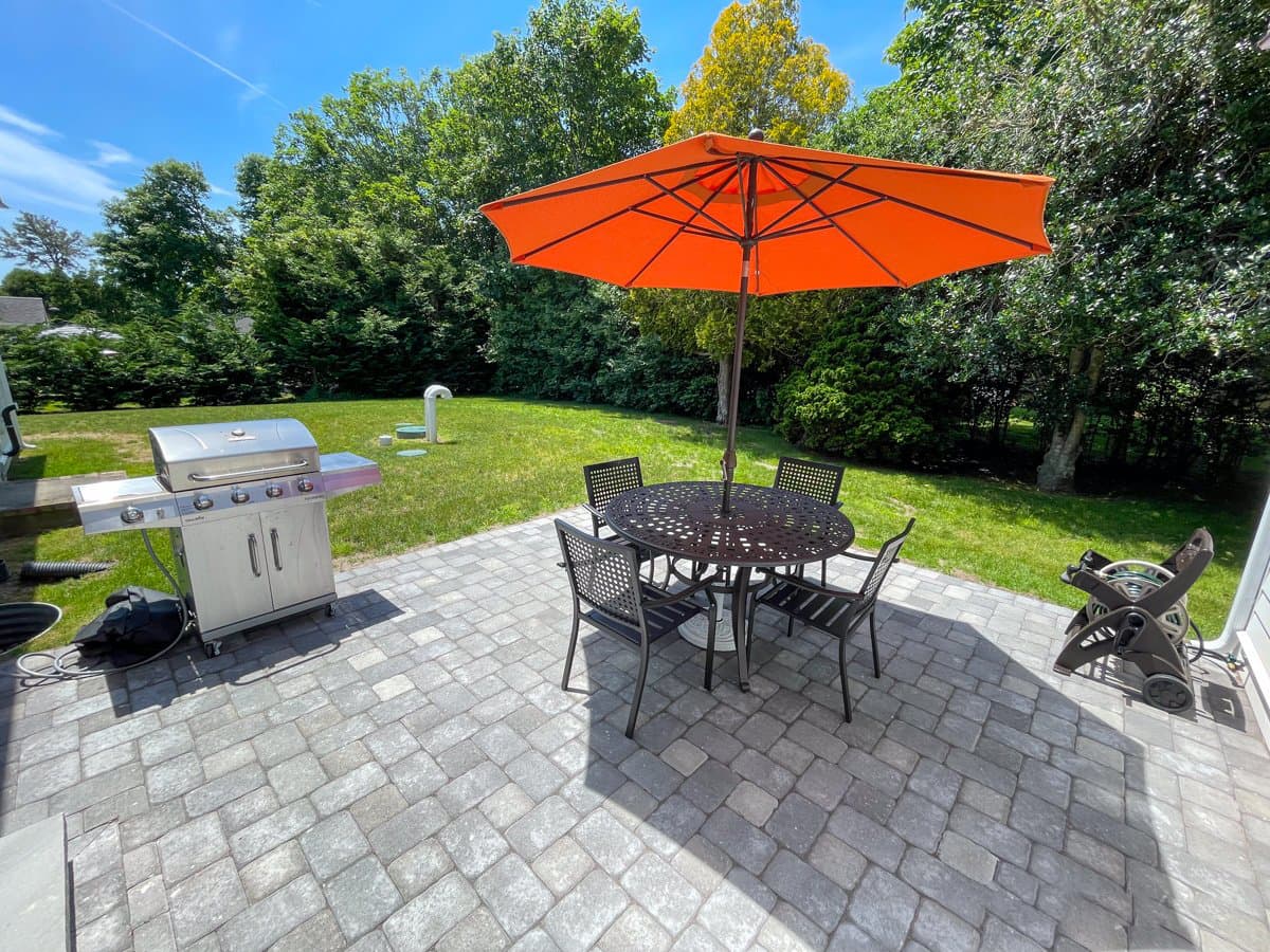 Blueberry Delight - Image 2