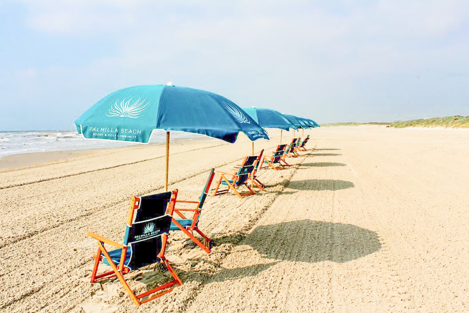 Shorely the Best - Image 46