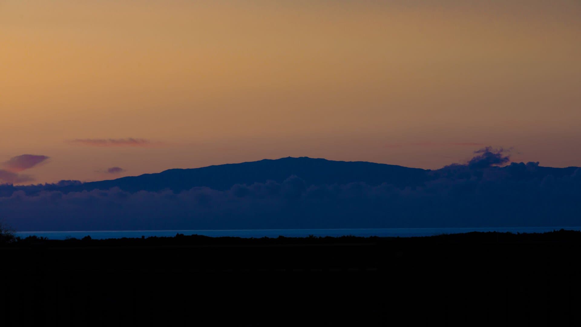 Aloha Shores - Image 55