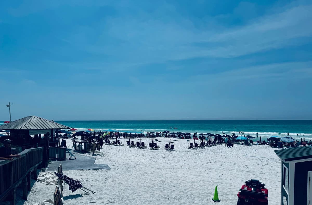 Coral Starfish - Image 41