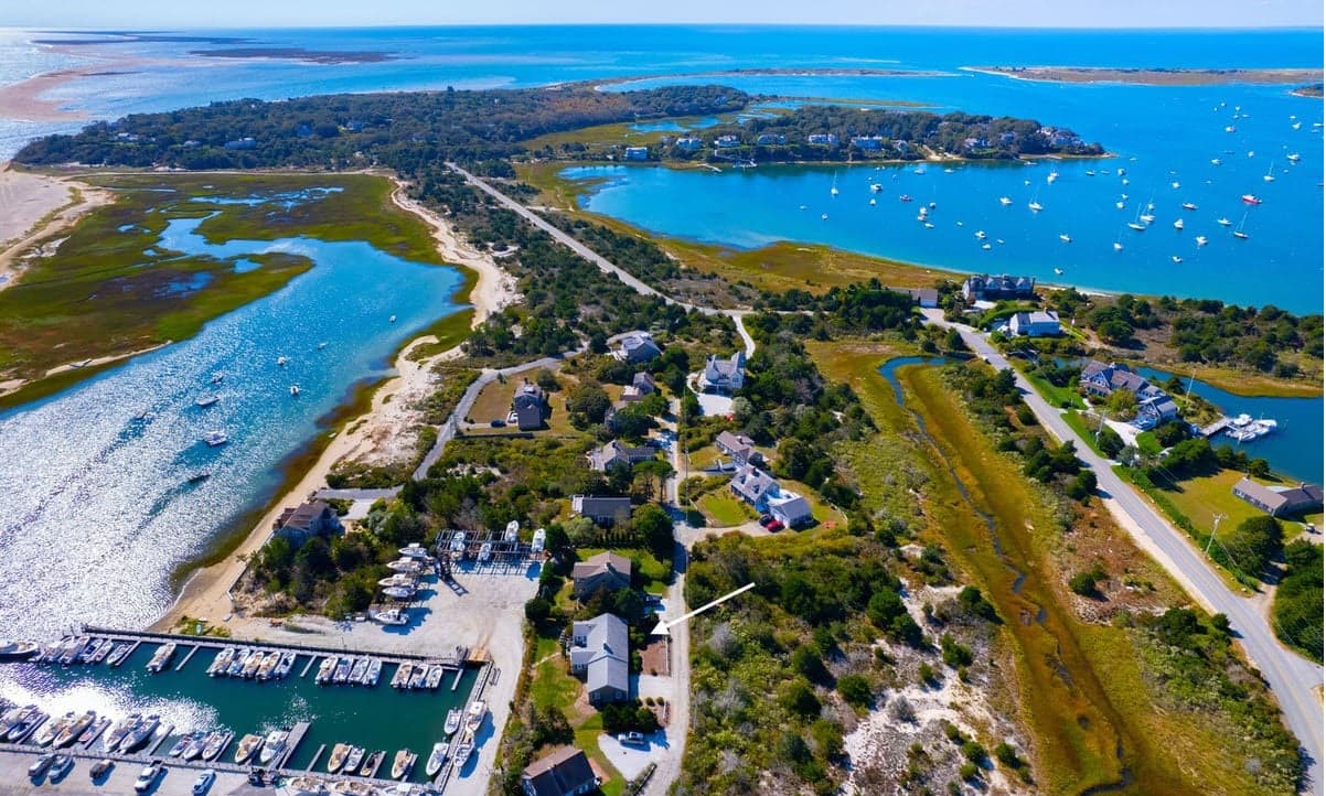 Whale Song - Image 23