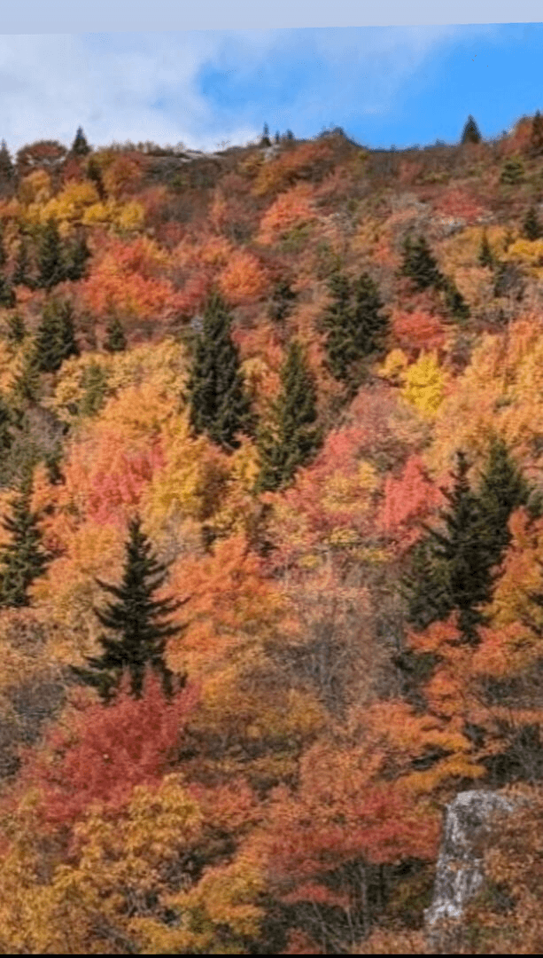 Hawthorn House - Image 17