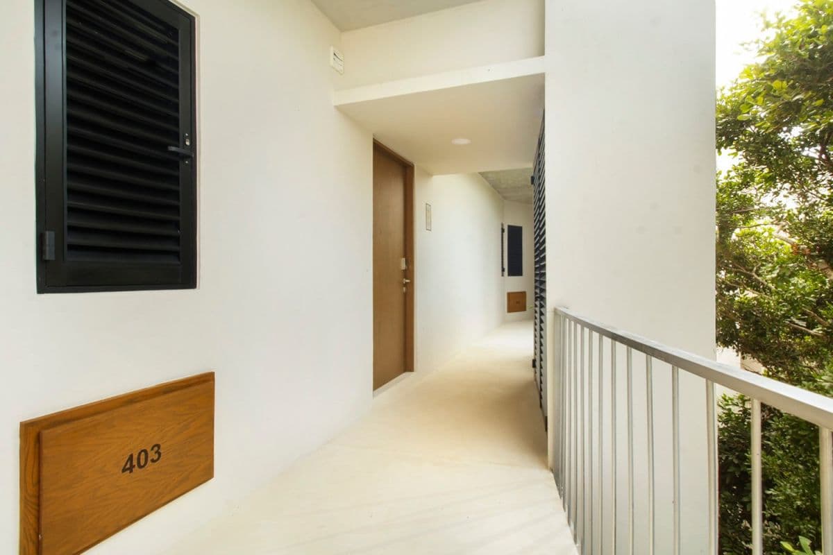 Jungle Sol - Image 21