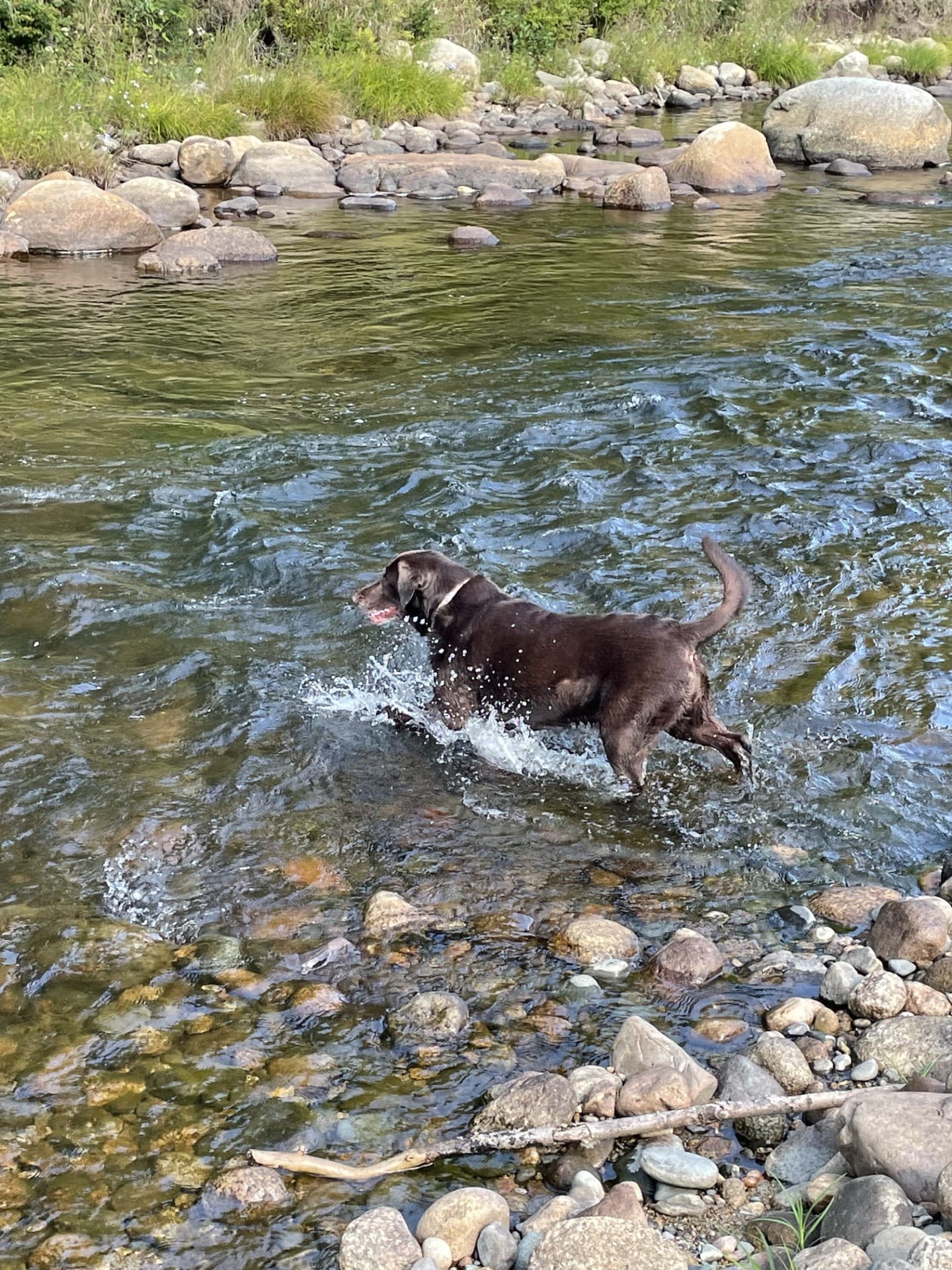 Serenity Log Retreat - Image 22