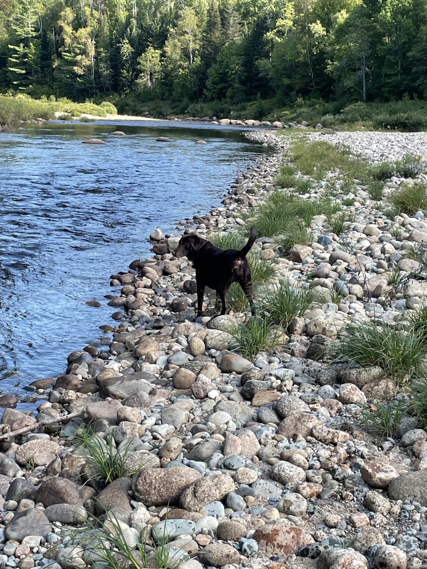 Serenity Log Retreat - Image 23