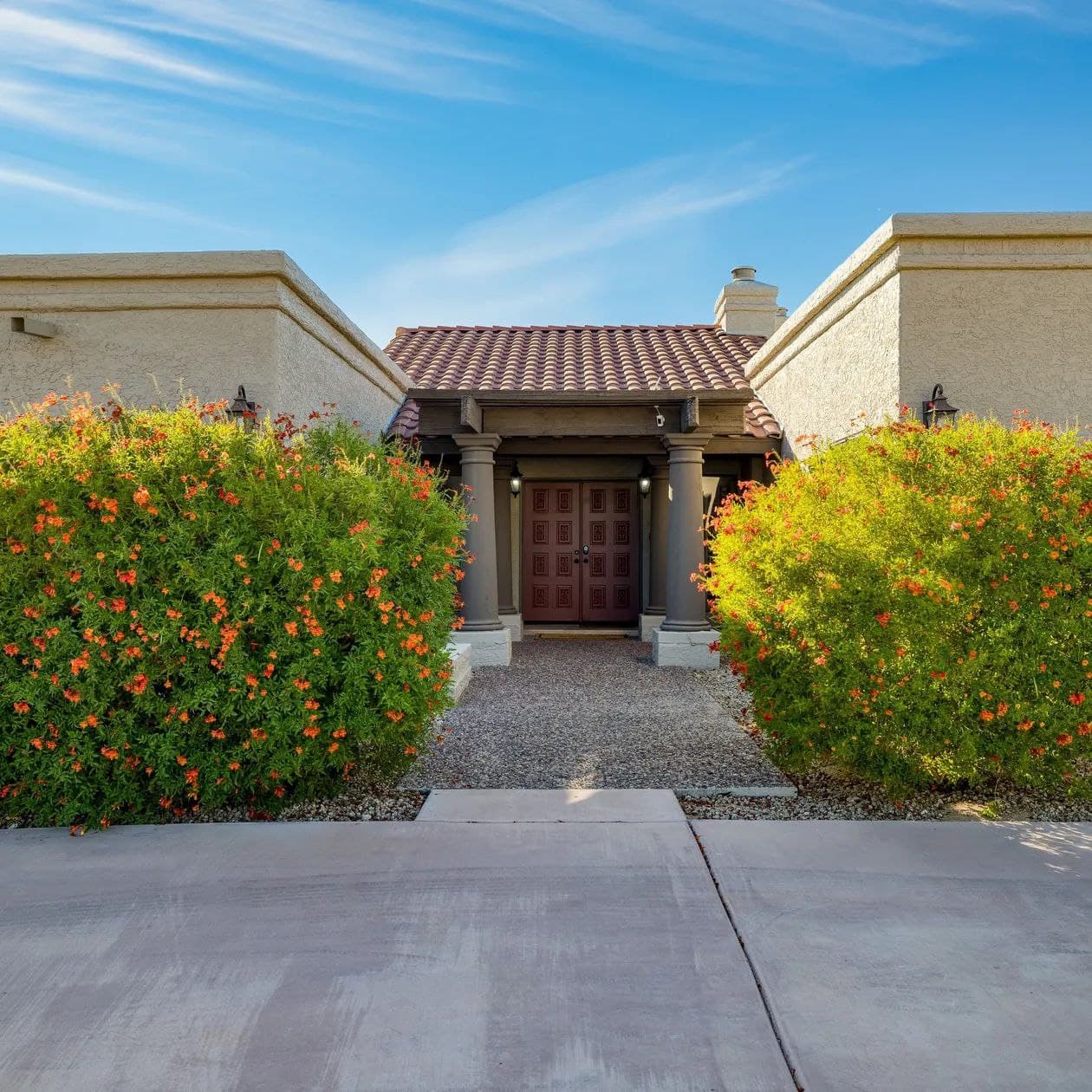 Sonoran Sunshine - Image 40