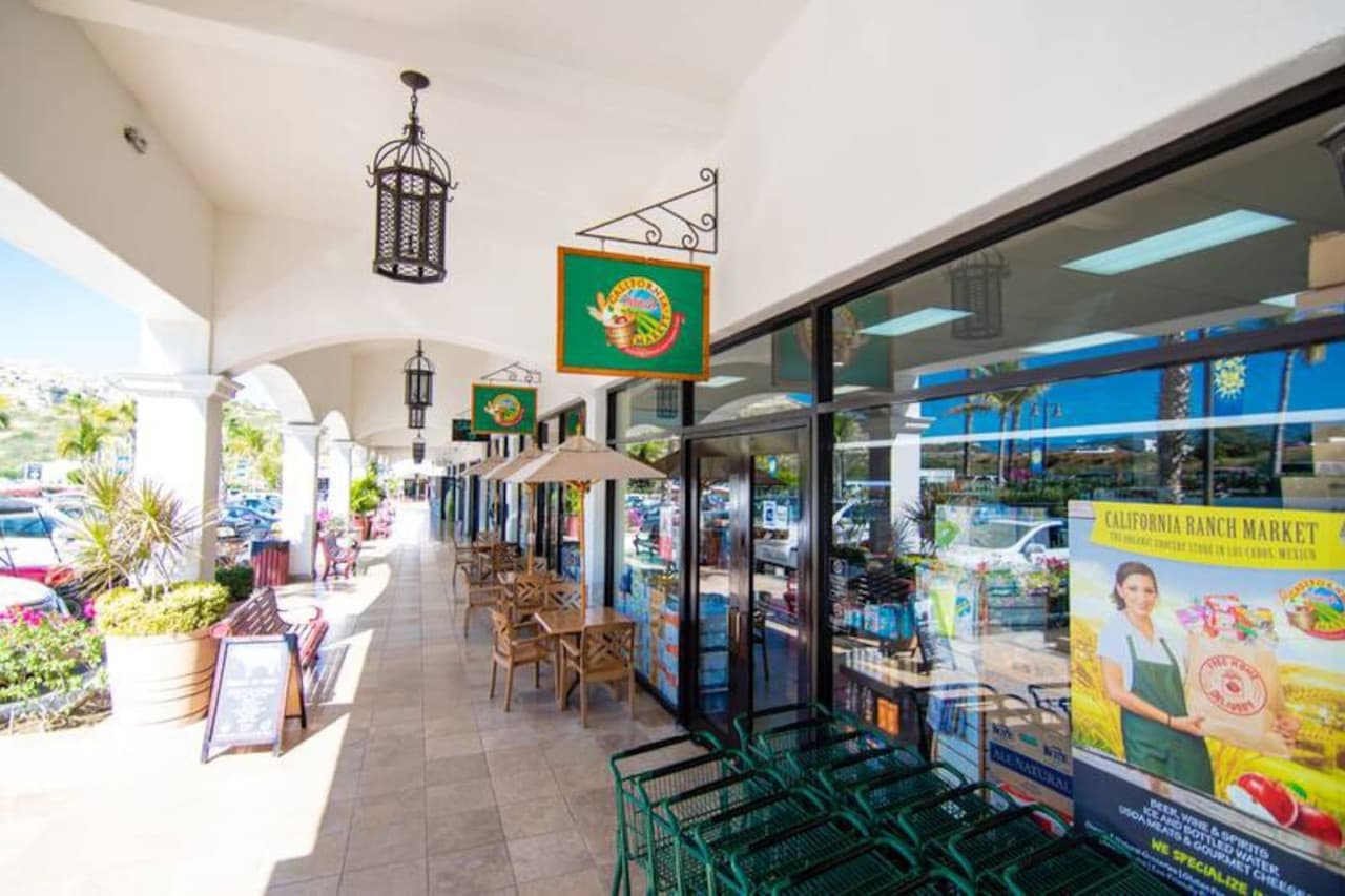 Coco Palma - Image 37