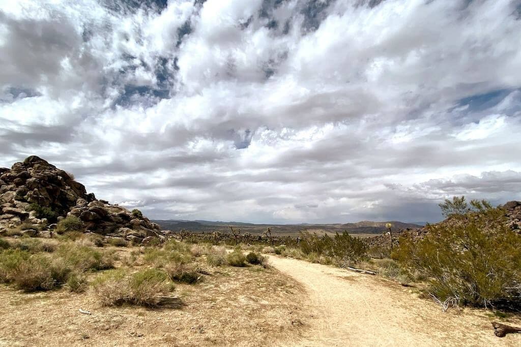 Joshua Tree Vista - Image 28
