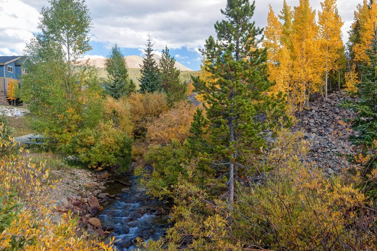 Creekside Escape - Image 50