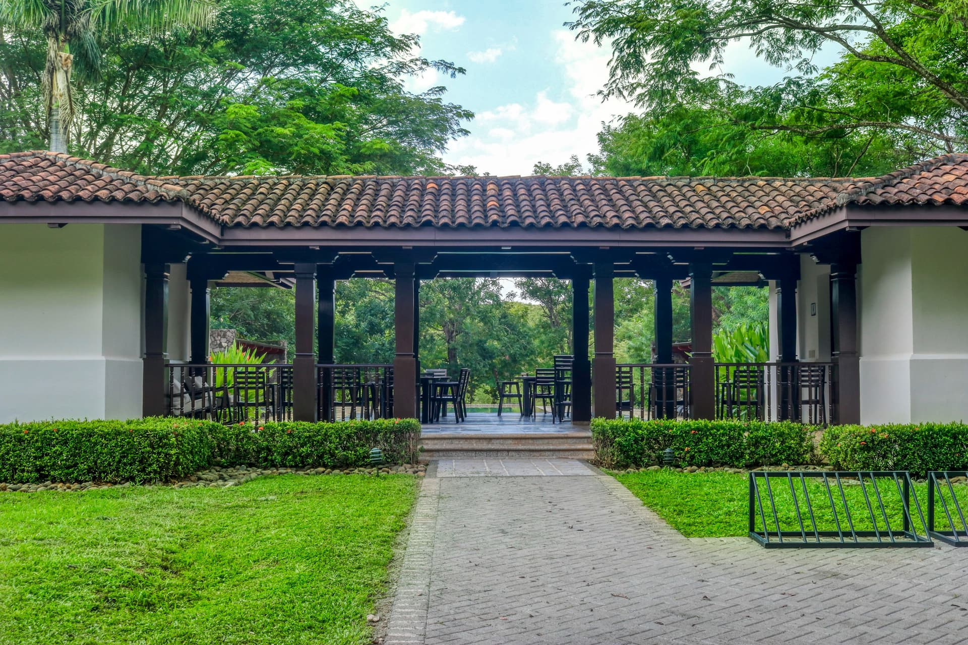 Pinilla Flor de Malinche - Image 45