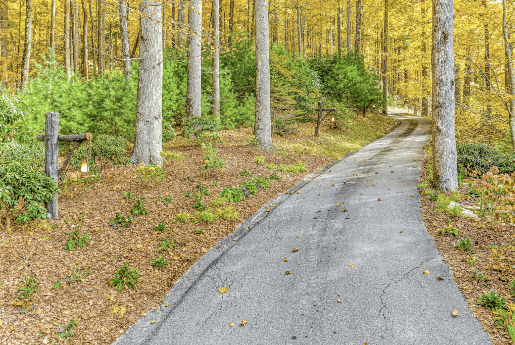 Sapphire Elegance - Image 50