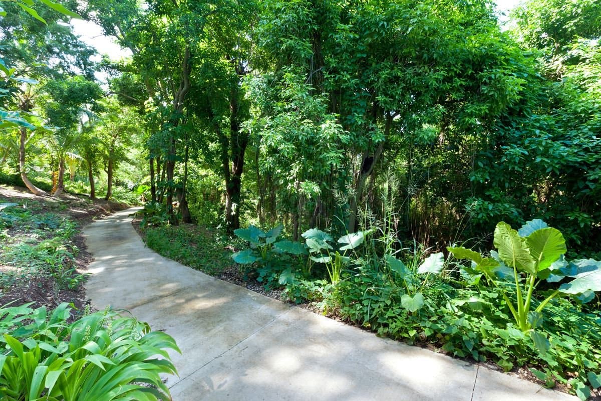 Wisteria Manor - Image 34