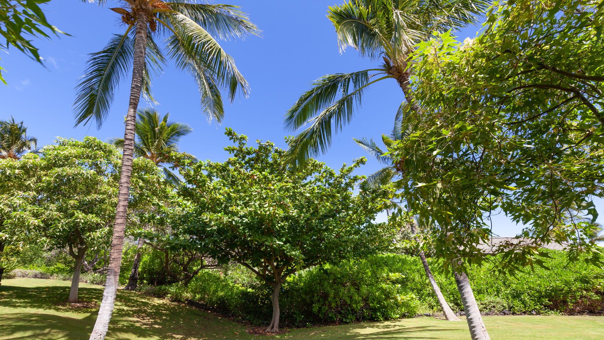 Summer Breeze - Image 20