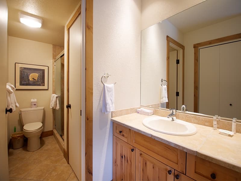 Snowblaze Residence 33 - Image 11