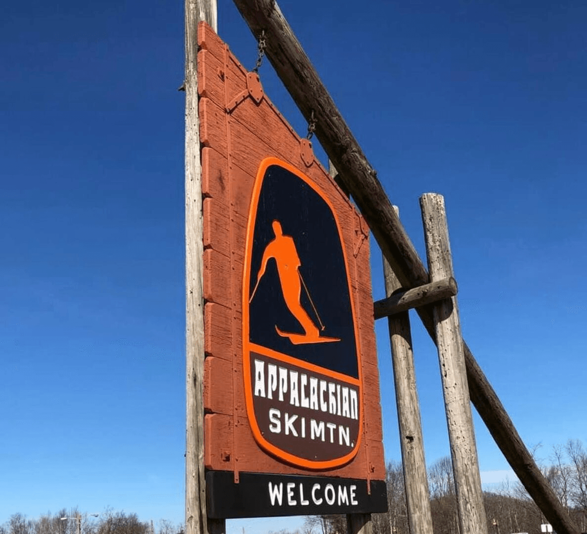 Bearadise at Blue Ridge - Image 43