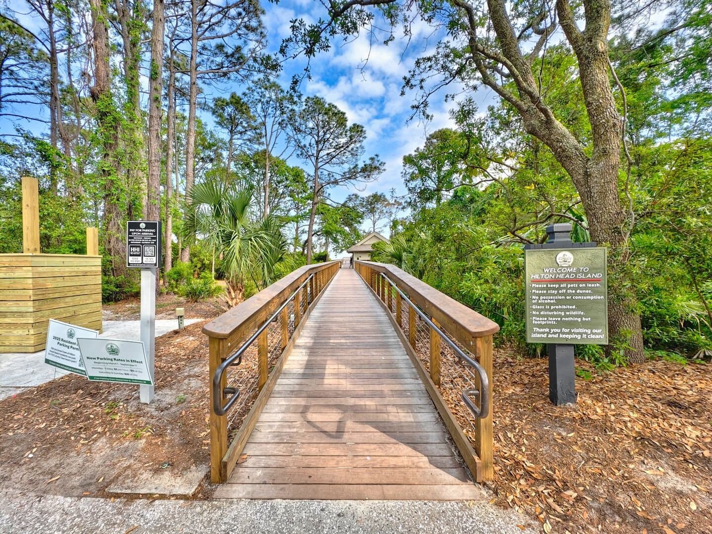 Turtle Tides - Image 69