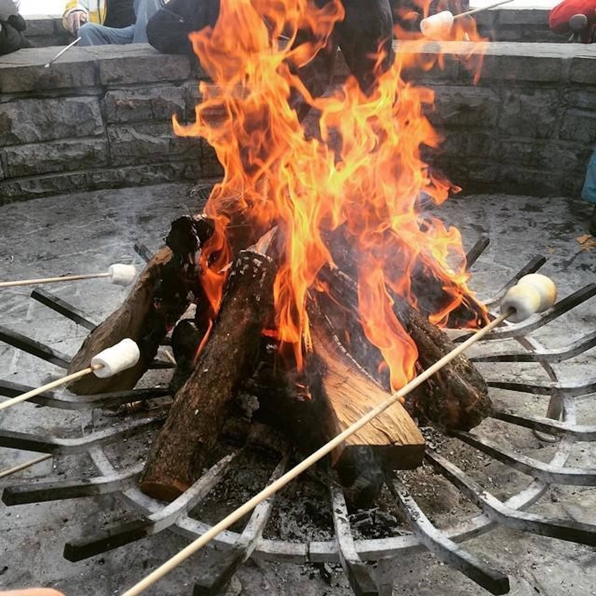 Beaver Creek  - Image 7