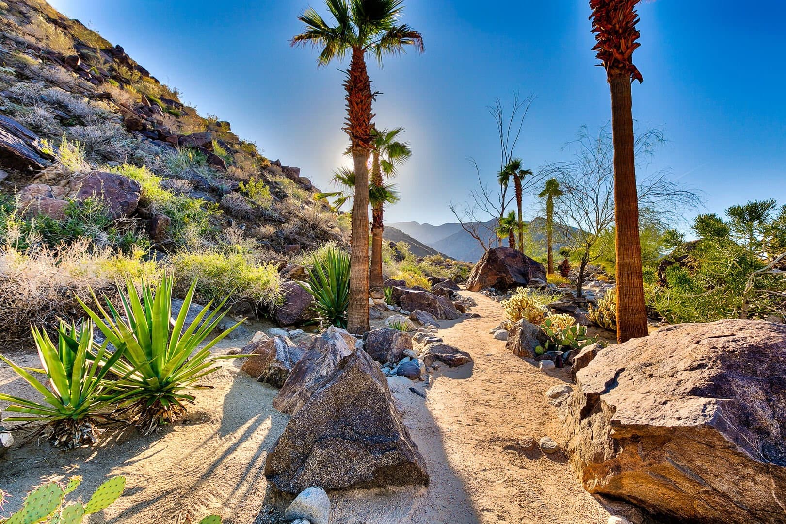 Cielo Rock House - Image 35