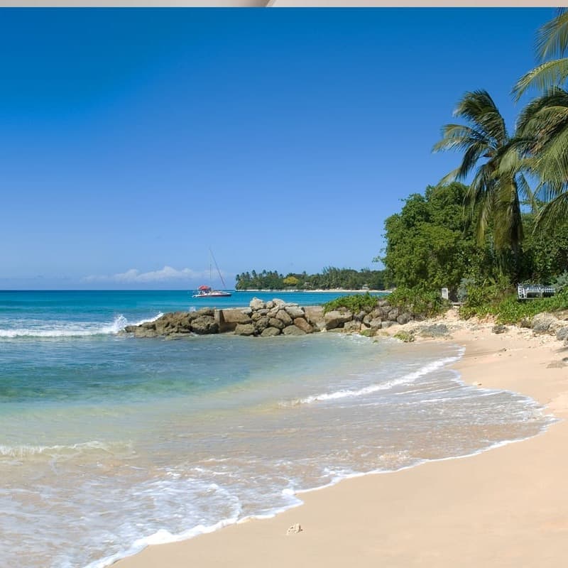 Coral Cove Sanctuary - Image 1