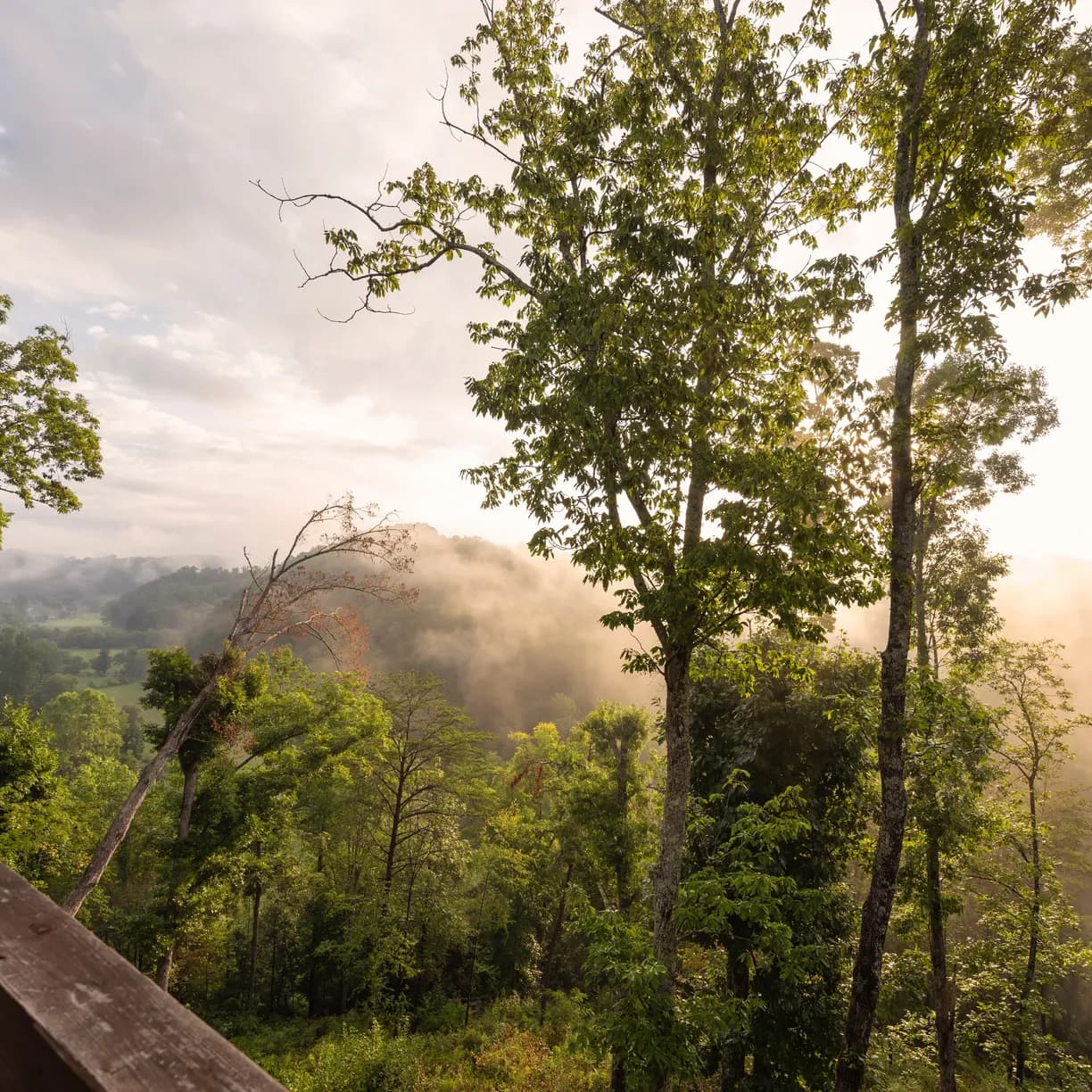 Copperhead Villa - Image 28