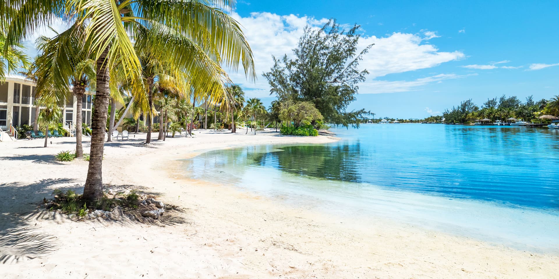 Seaside Dreams - Image 2