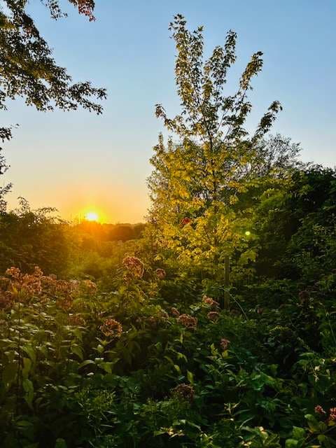 Craftsman House - Image 27