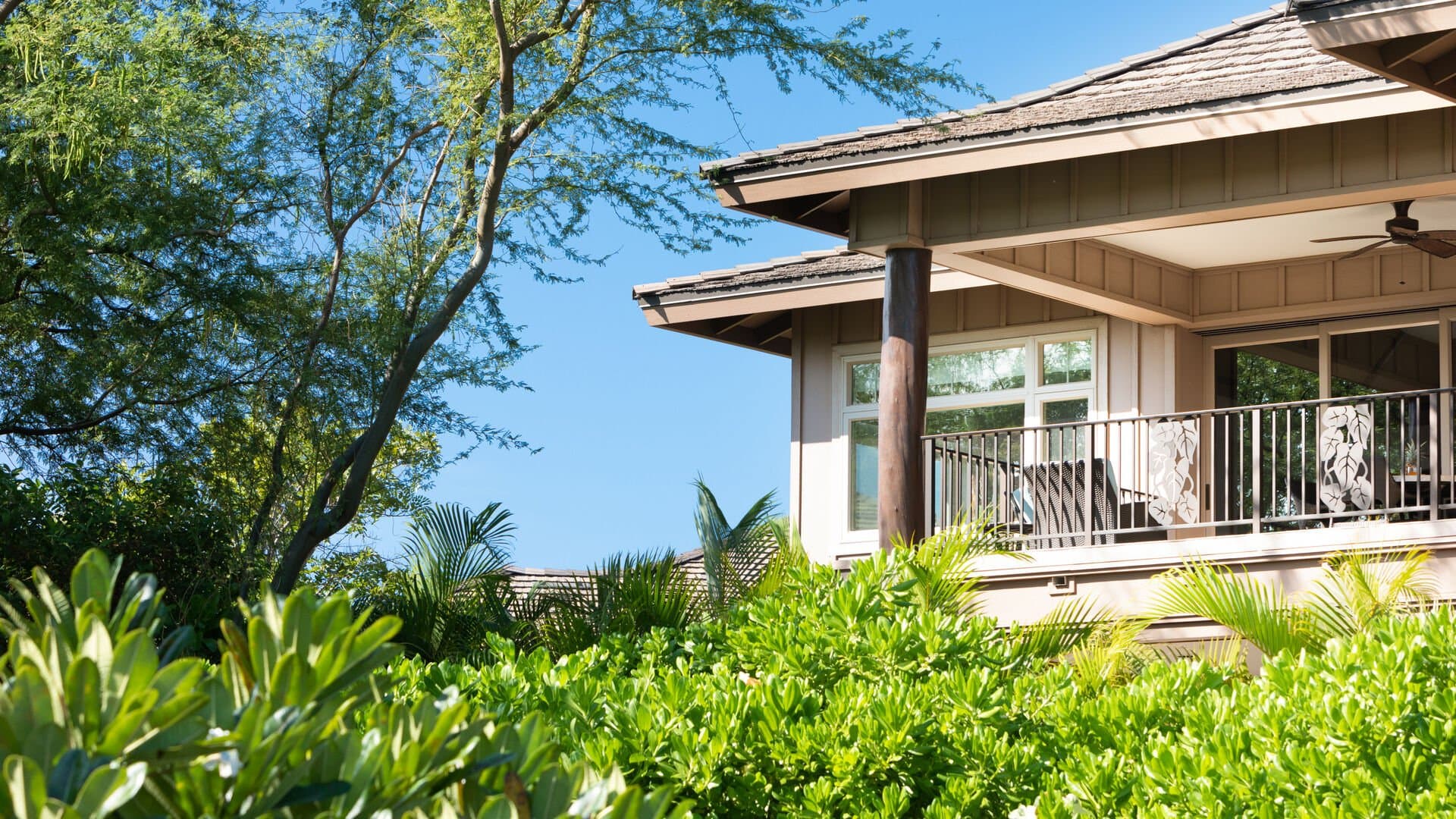 Pineapple Hale - Image 41