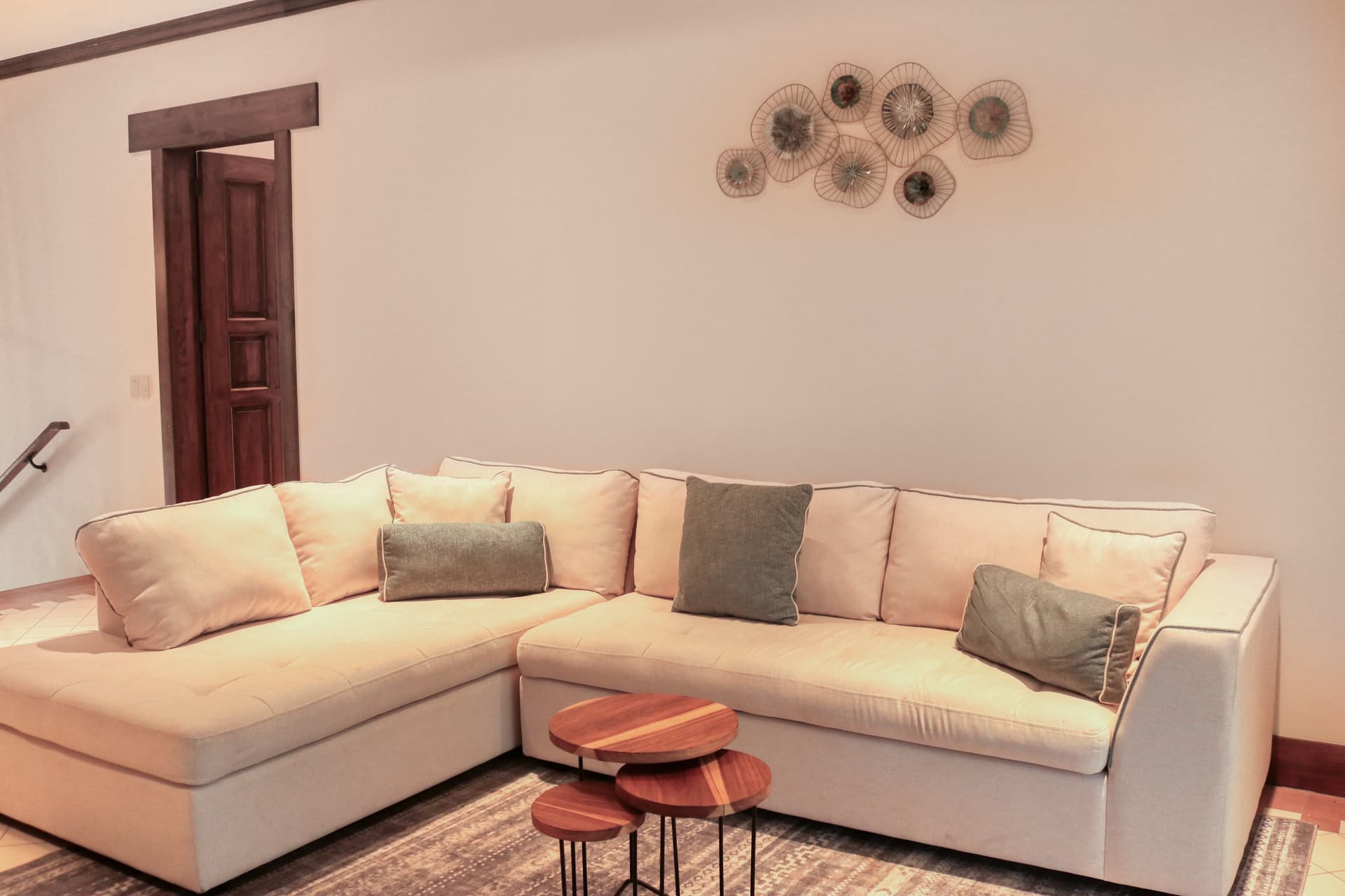 Pinilla Flor de Malinche - Image 26