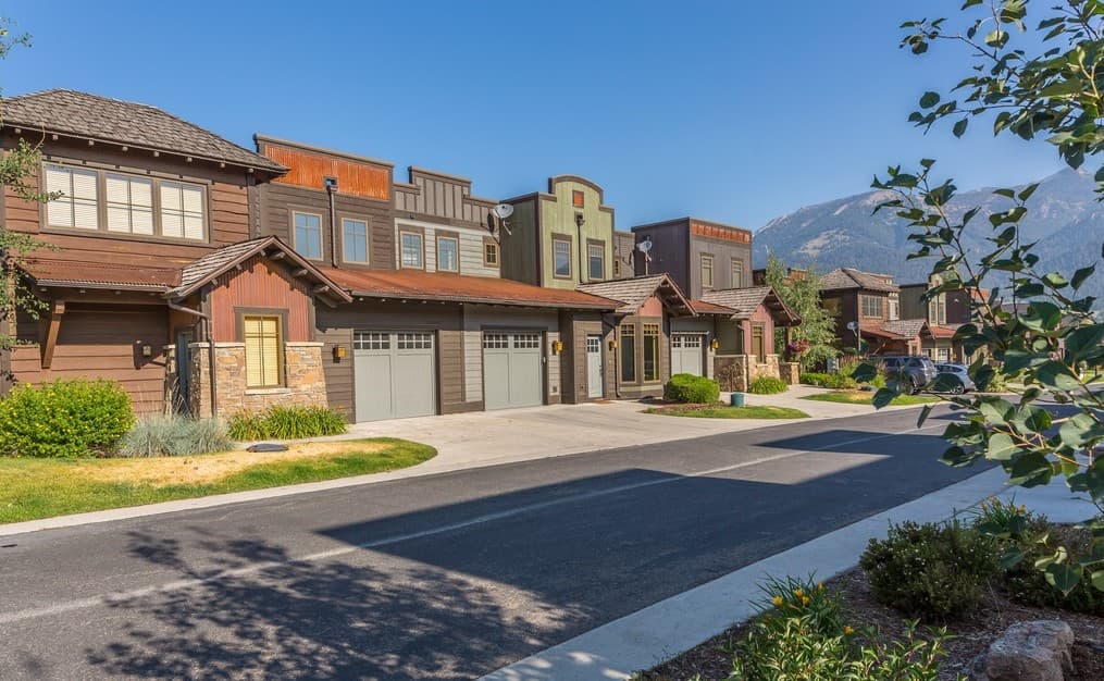 Pheasant #992 - Image 2