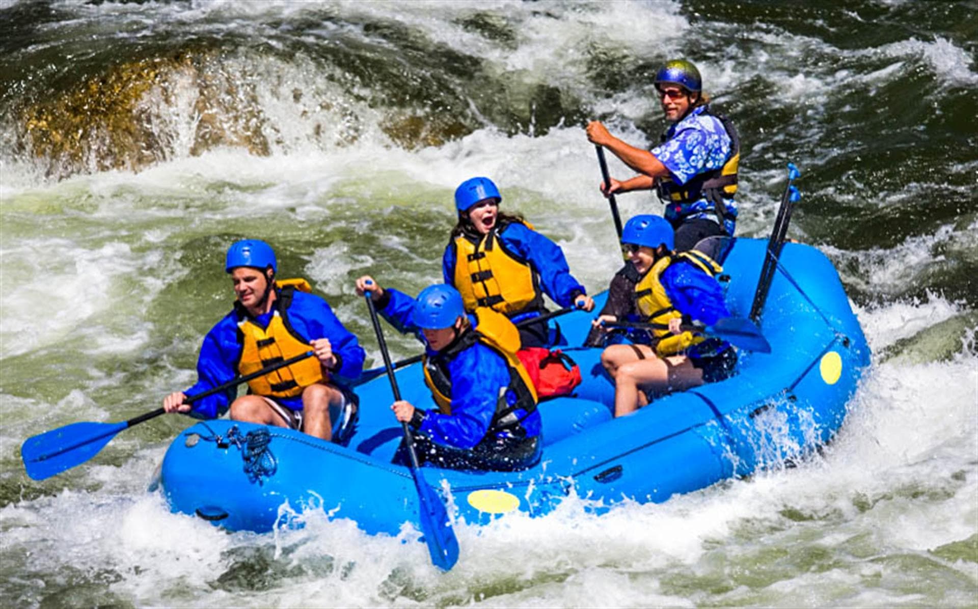 Caravelle Home - Image 47