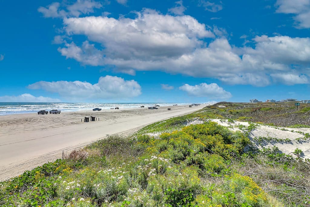 Mermaid's Tail - Image 43