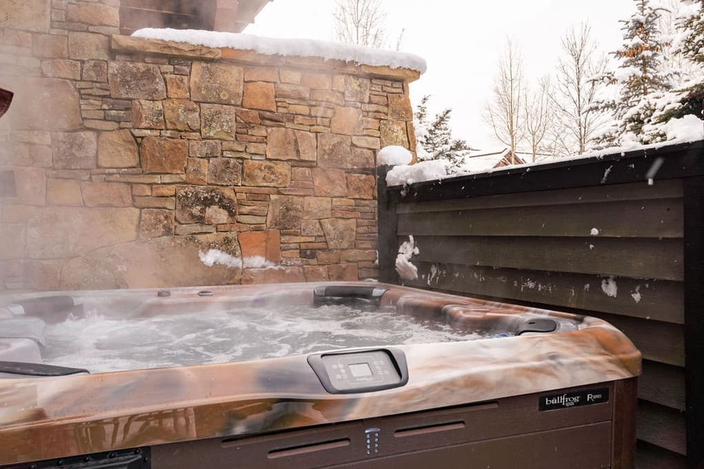 Pheasant #3 - Image 9