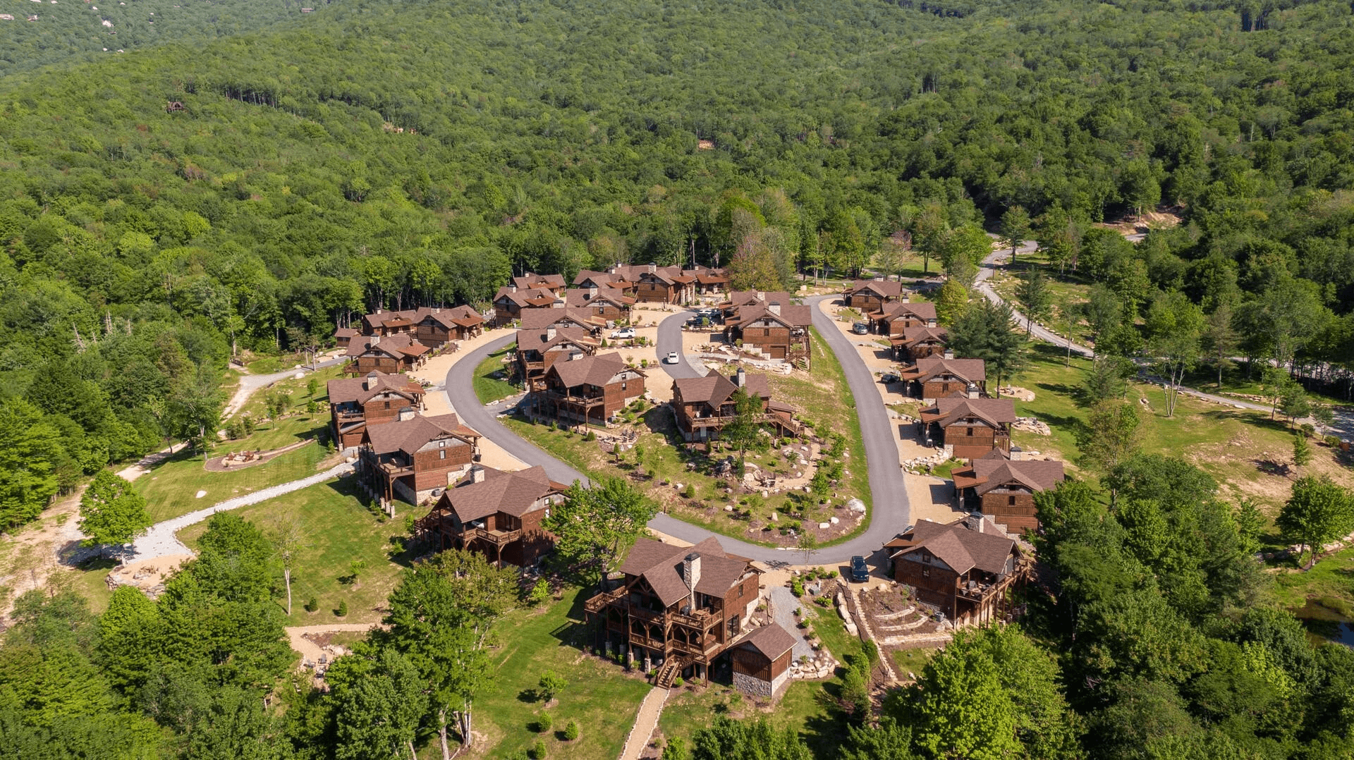 Black Bear Den - Image 16