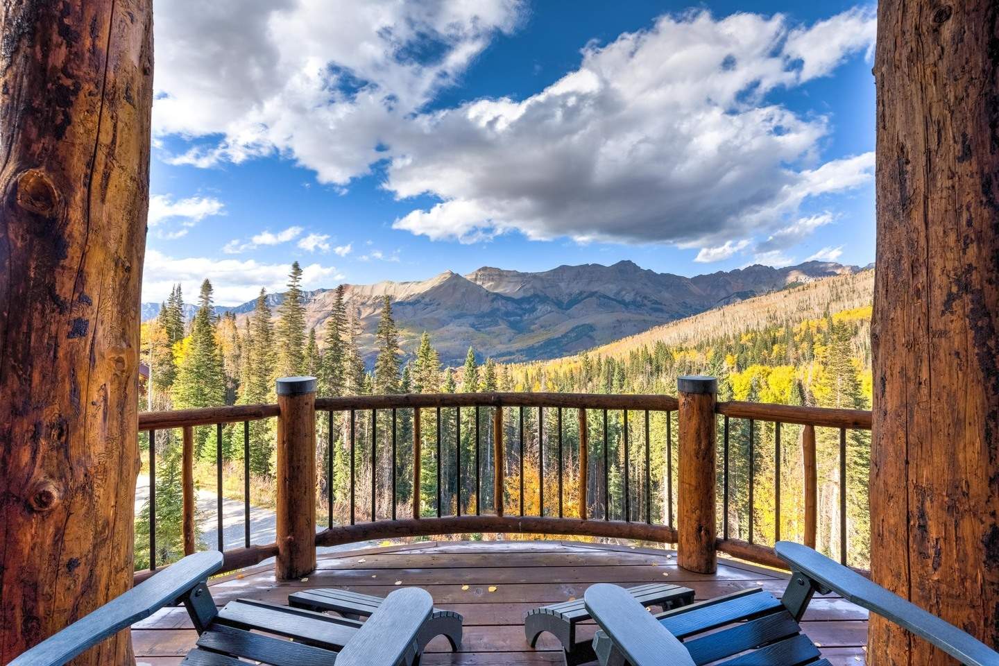 Dancing Bear - Image 3