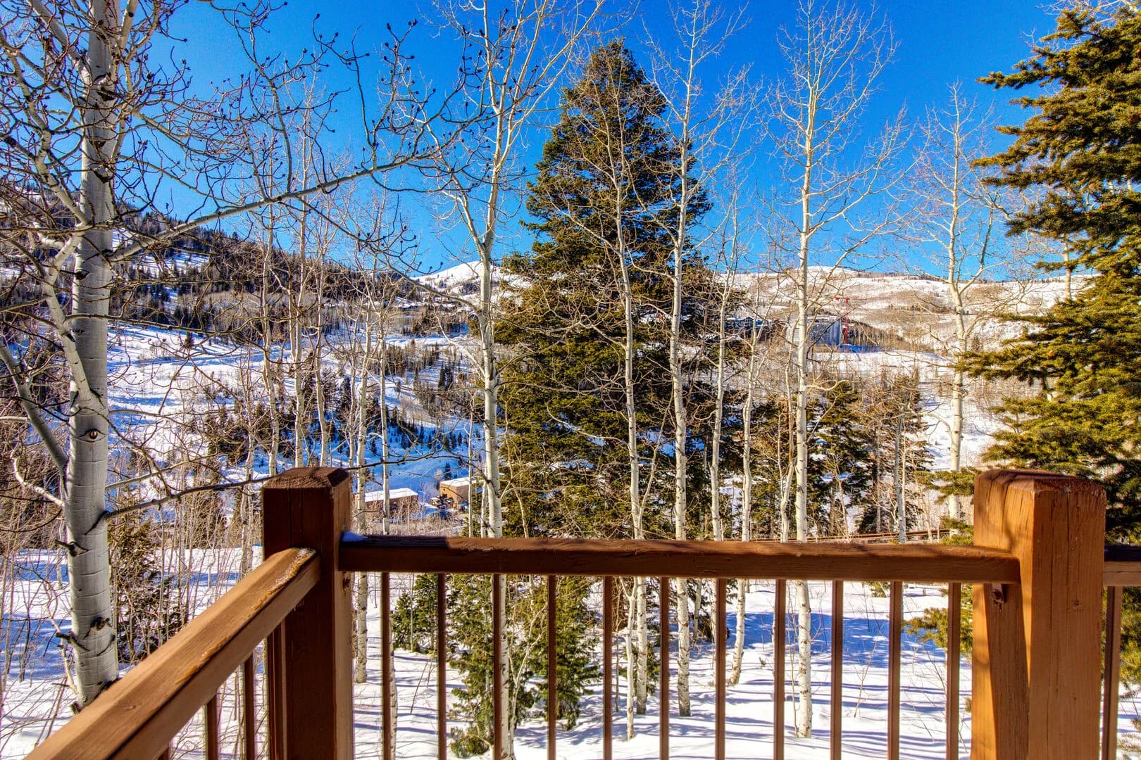 Belle Home - Image 51