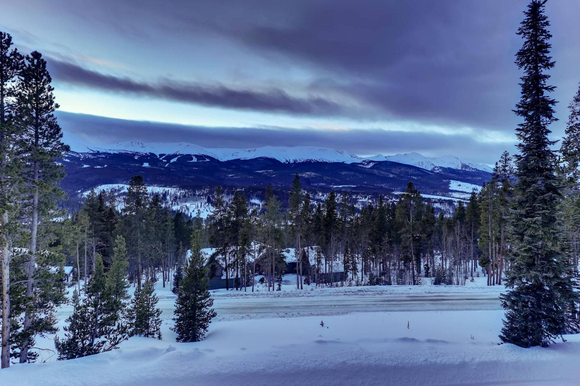 Bearadise Forest - Image 37